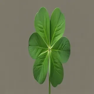 clover png