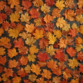 fall leaves aesthetic