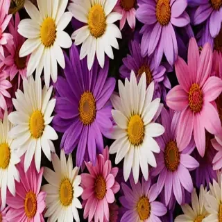 wallpaper iphone flowers
