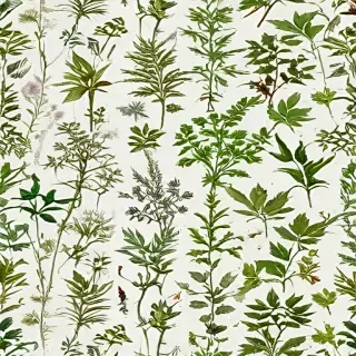 weeds png