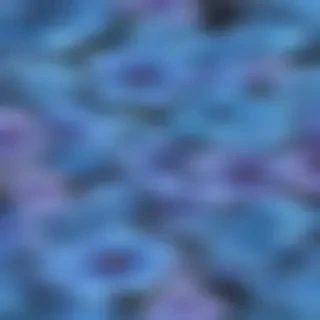 blue flowers transparent background
