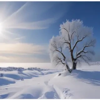 snow transparent