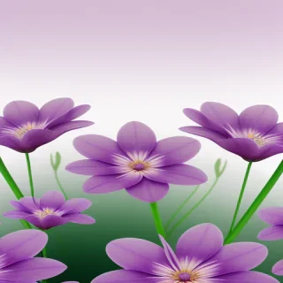 purple flowers transparent background