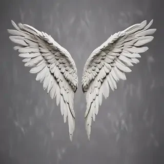 angel wing images