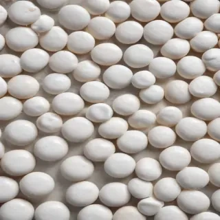 white dots png