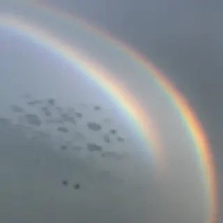 transparent rainbow