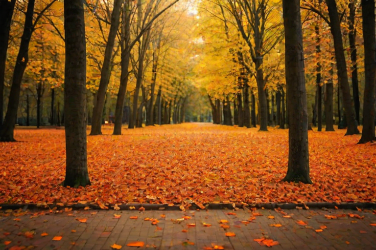 fall zoom backgrounds free