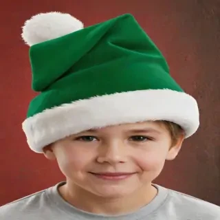 christmas hat .png