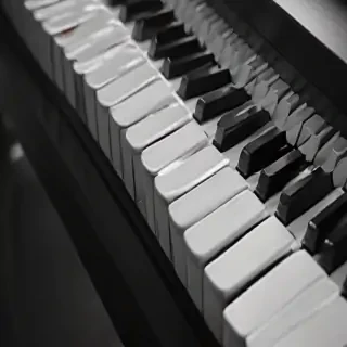 piano keys