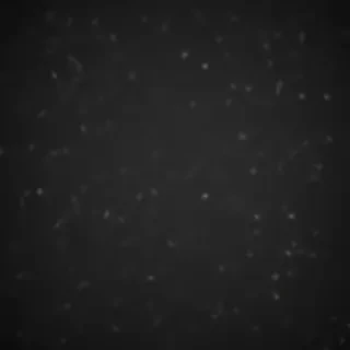 solid iphone wallpaper