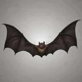 bat wings png