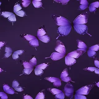 purple butterflies wallpaper