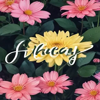 hello may images