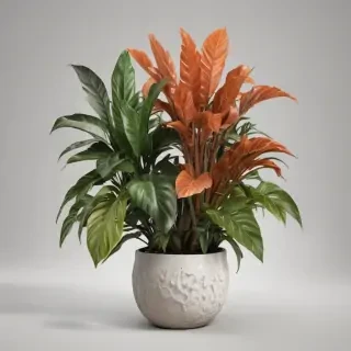 house plant png