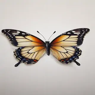 picture of a butterfly drawing
