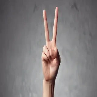 middle finger background