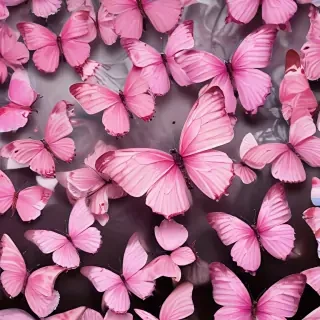 images of pink butterflies