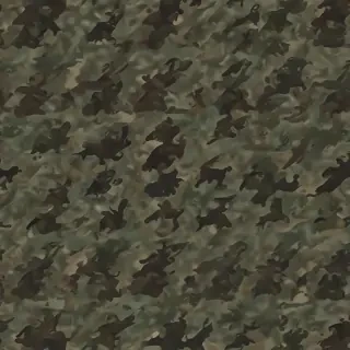 army png