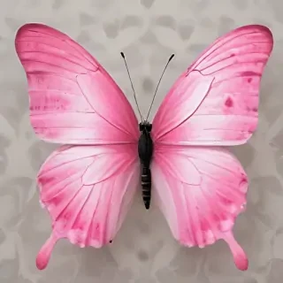 images of pink butterflies