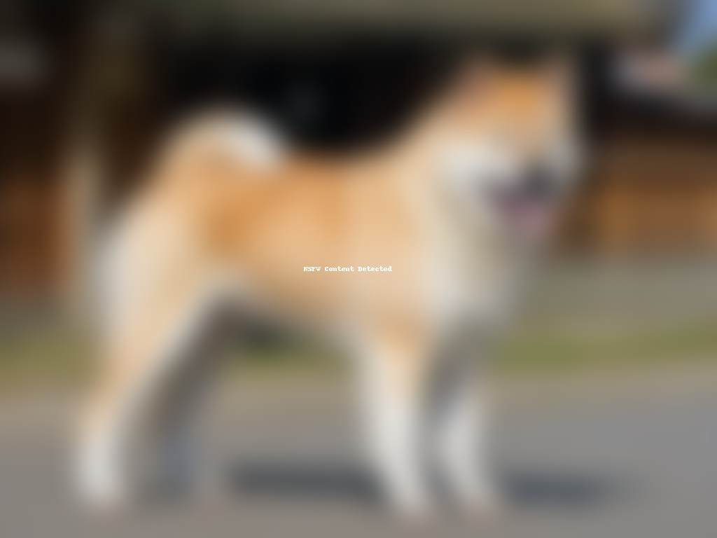 akita inu dog breed