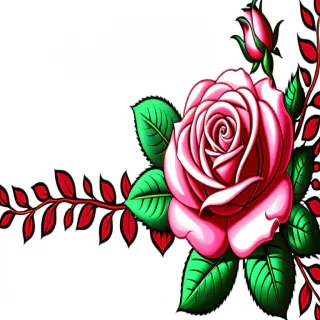 rose border png