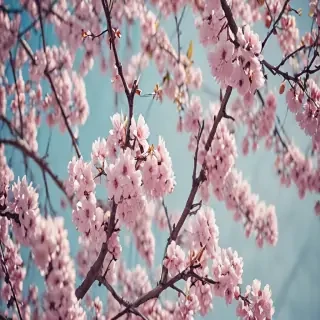 springtime iphone wallpaper