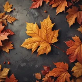iphone fall wallpaper