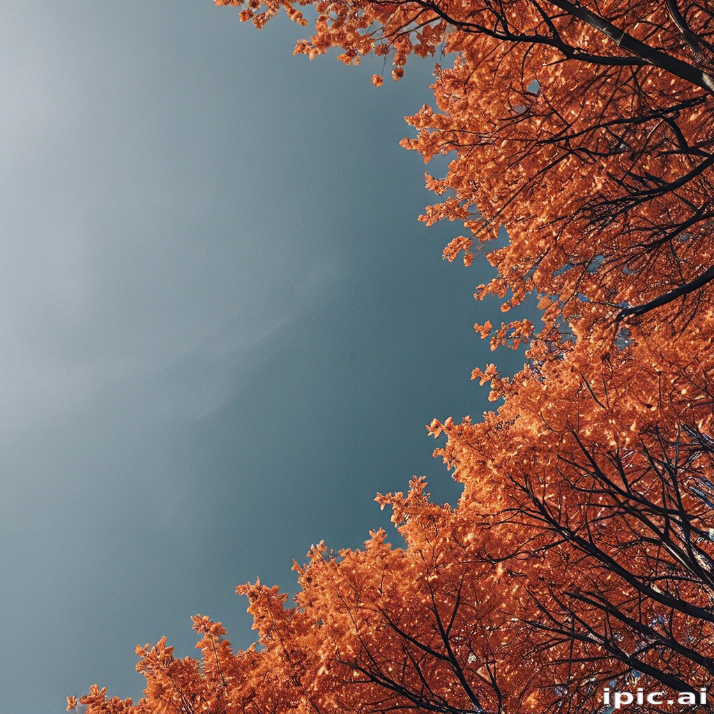 Vibrant Autumn Leaves Against a Clear Blue Sky in Tranquil Nature