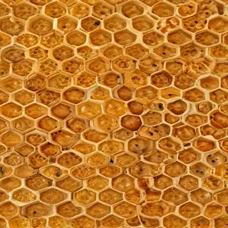 honeycomb png