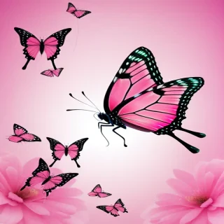 pink butterfly images
