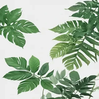 green aesthetic png