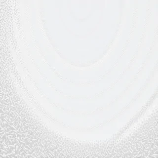 white zoom background
