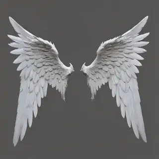 angel wings transparent background
