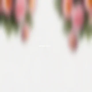 real flowers transparent background