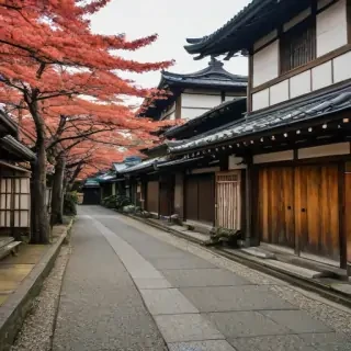 freeuse japan