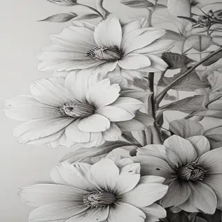pencil drawn flowers