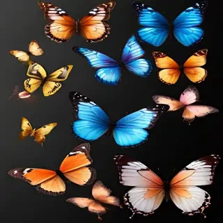 butterflies transparent background