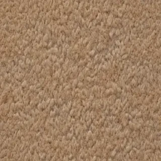 carpet png