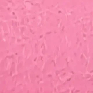 pink zoom background