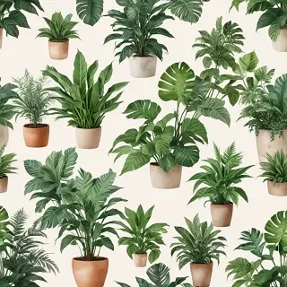 plants no background