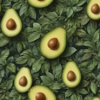 wallpaper avocado