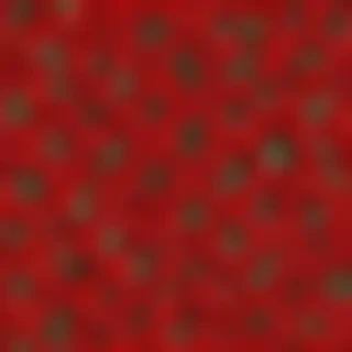 flower background red