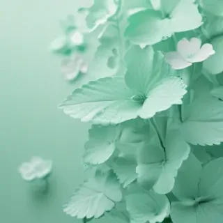 mint green backgrounds