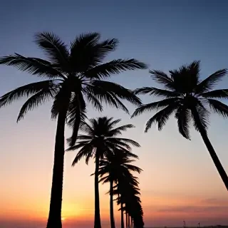 transparent palm trees