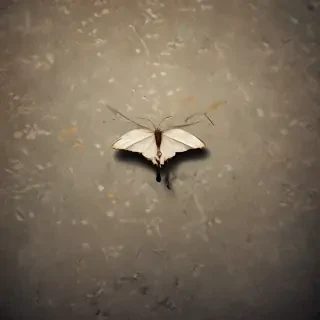 thought wallpaper