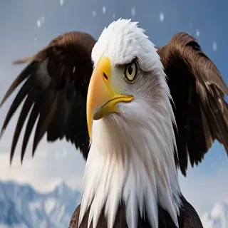 eagle backgrounds