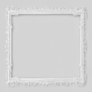 transparent border