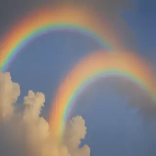 rainbow pictures