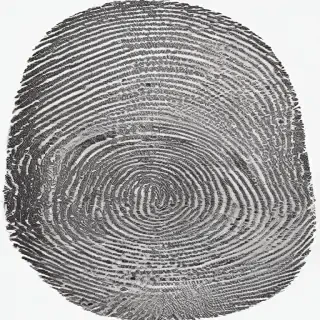 fingerprint png