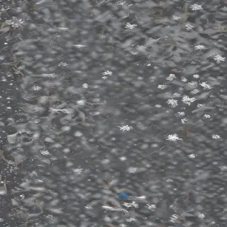 transparent snow png